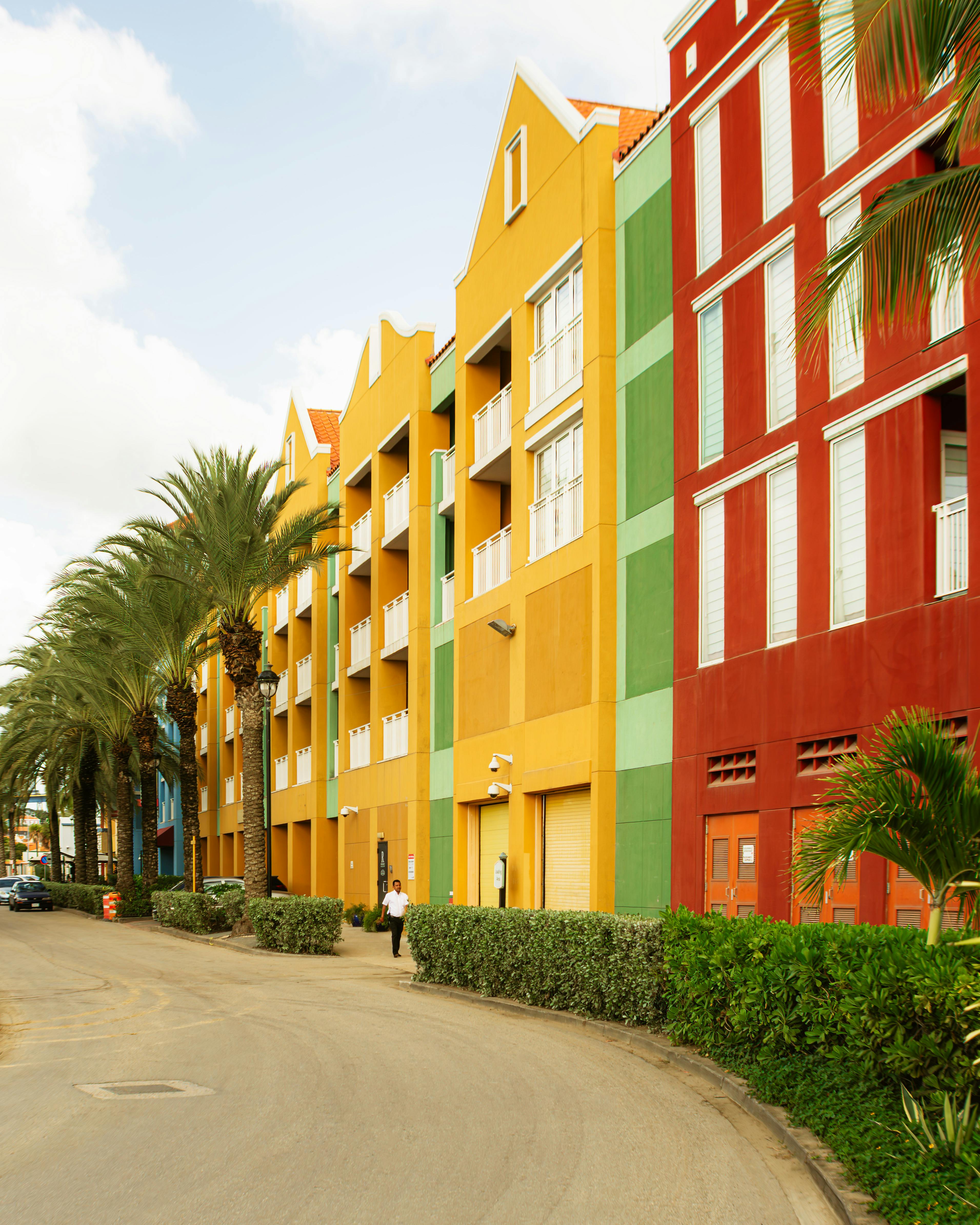 Colorful Caribbean street with palm trees and colonial buildings